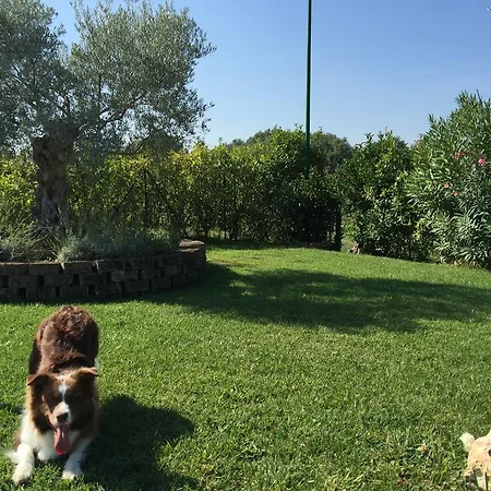 Osti Bed & Breakfast Castel Maggiore