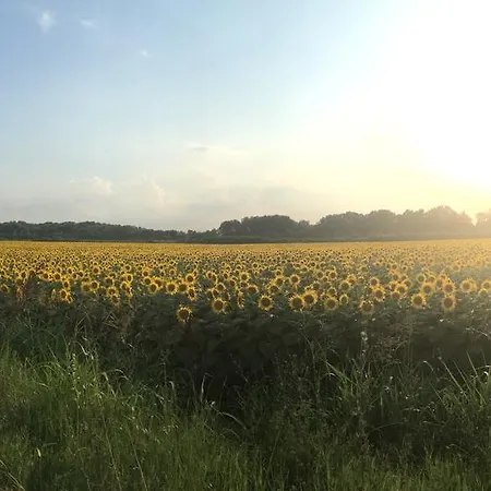 Osti 4* Castel Maggiore