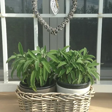 לינה וארוחת בוקר Osti 4*