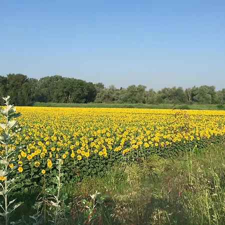 Nocleg ze śniadaniem Osti Castel Maggiore