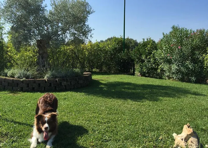 Osti Bed & Breakfast Castel Maggiore