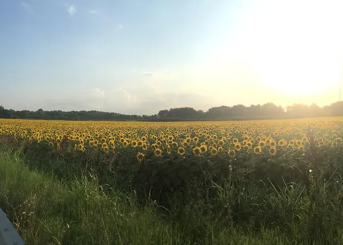 Osti 4* Castel Maggiore