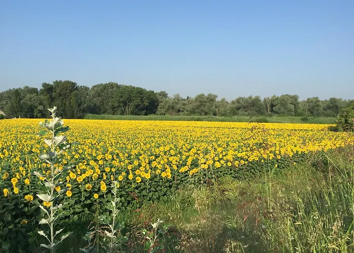 Bed & Breakfast Osti Castel Maggiore